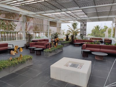 WET Deck
