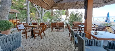 Beach Bar 5 Element