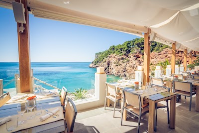 Amante Ibiza