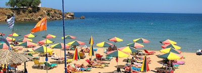 Iguana Beach