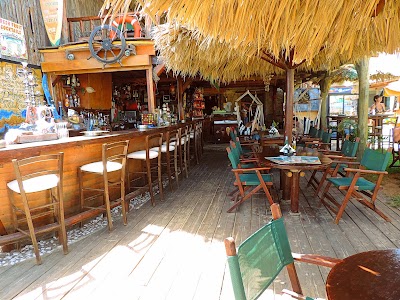 Dolphin Beach Bar