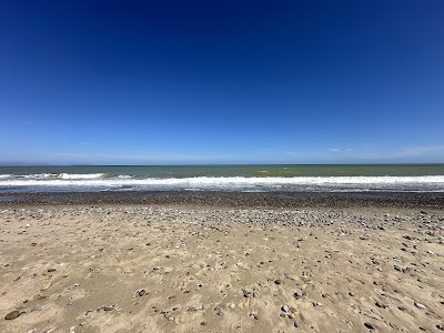 Lido Falo