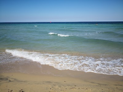 Lido Morelli